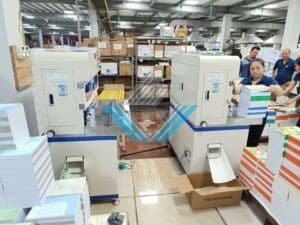 May cat goc so 2 dau