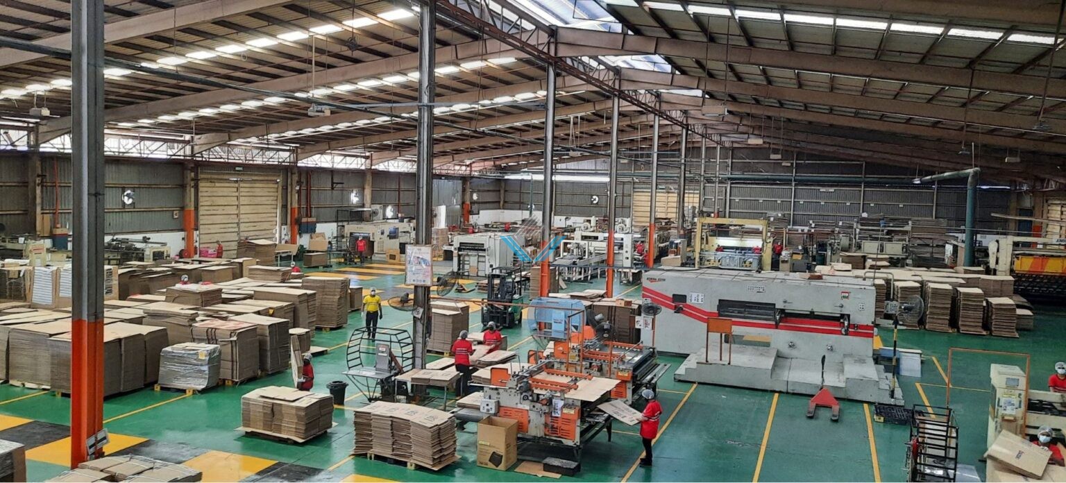 TÌM HIỂU ĐẦU TƯ MÁY SẢN XUẤT BAO BÌ CARTON