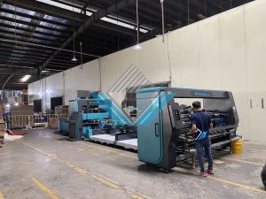 May dan thung carton