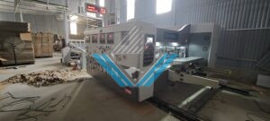 May in hop cod